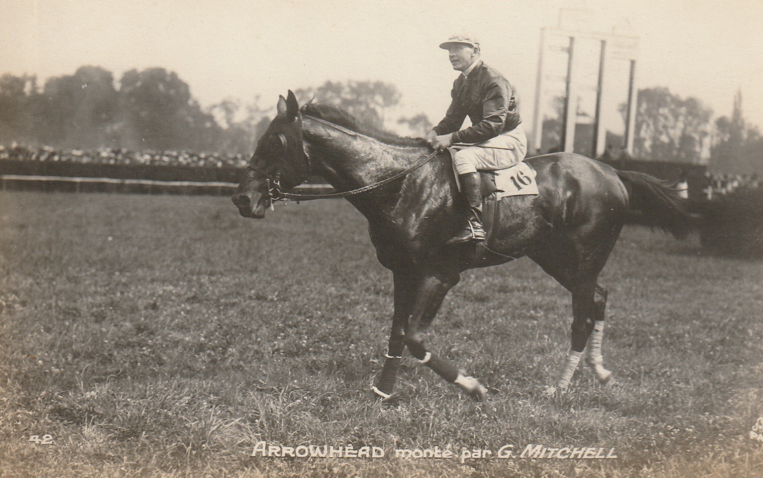 Photo cpa Sports HIPPISME Courses Hippodrome Paris. Cheval ARROWHEAD monté par MITCHELL