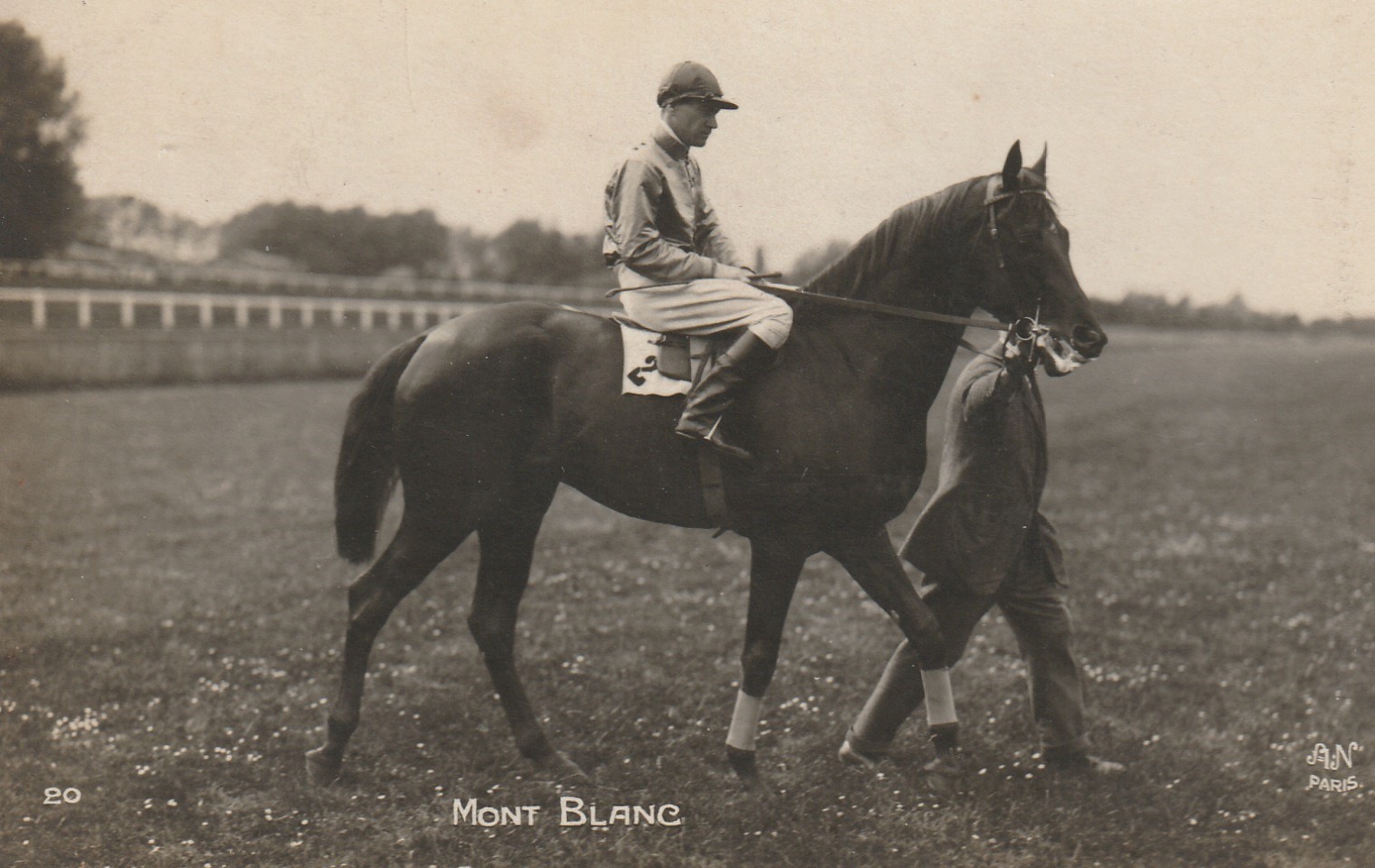 Photo cpa Sports HIPPISME Courses Hippodrome Paris. Cheval MONT BLANC