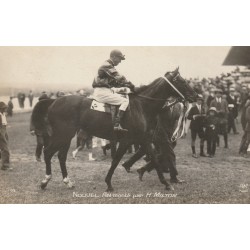 Photo cpa Sports HIPPISME Courses Hippodrome Paris. Cheval NOUVEL AN monté par MILTON