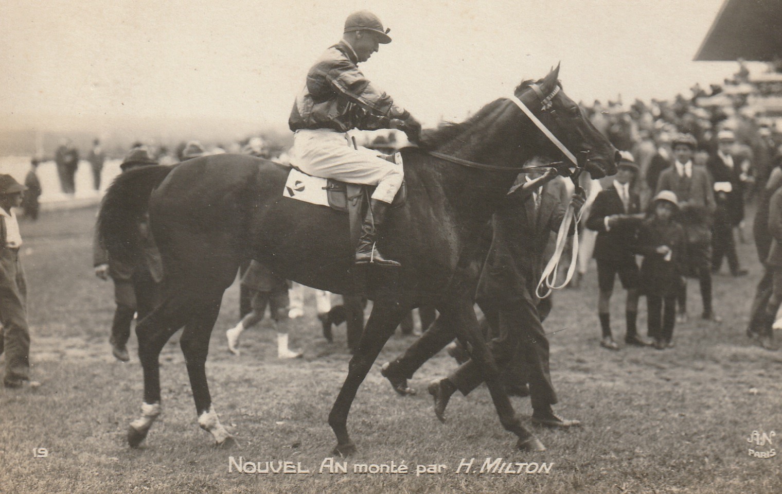 Photo cpa Sports HIPPISME Courses Hippodrome Paris. Cheval NOUVEL AN monté par MILTON