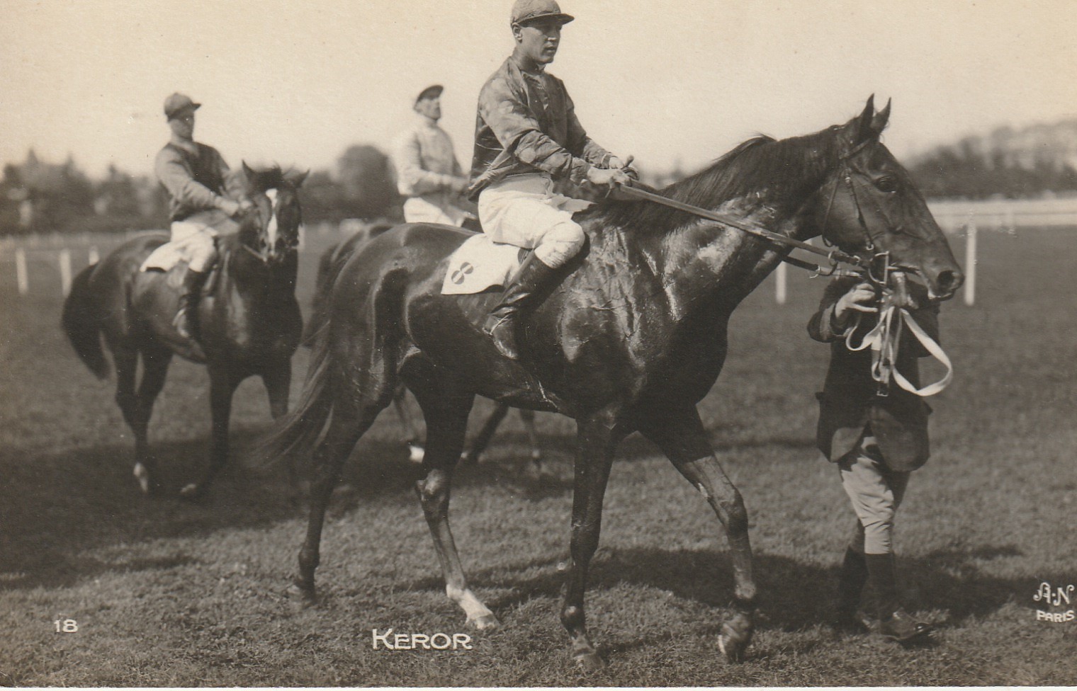 Photo cpa Sports HIPPISME Courses Hippodrome Paris. Cheval KEROR et son Jockey