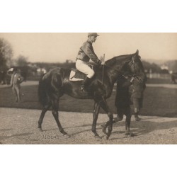 Photo cpa Sports HIPPISME Courses Hippodrome Paris. Cheval NICEAS et son Jockey