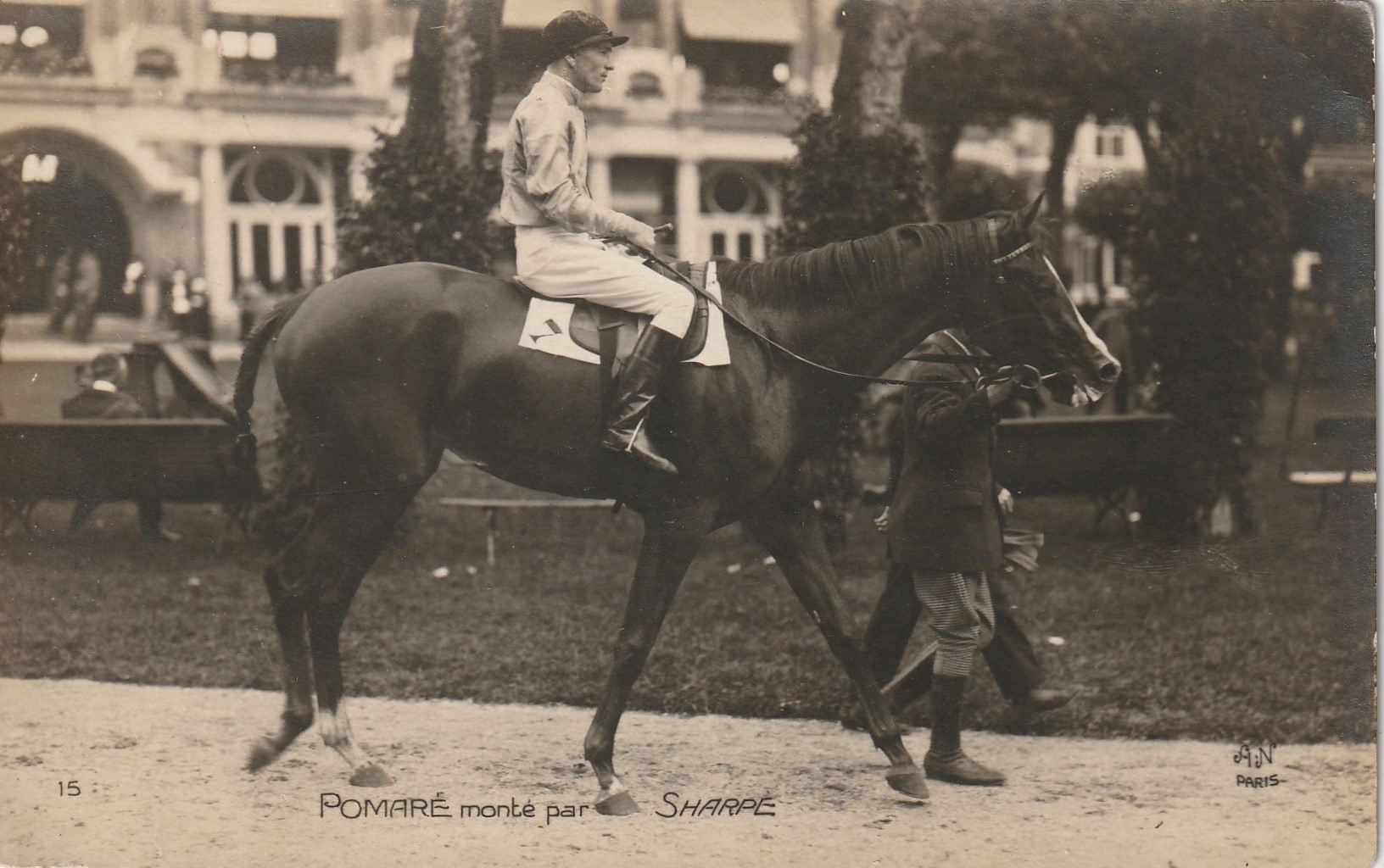 Photo cpa Sports HIPPISME Courses Hippodrome Paris. Cheval POMARE monté par SHARPE