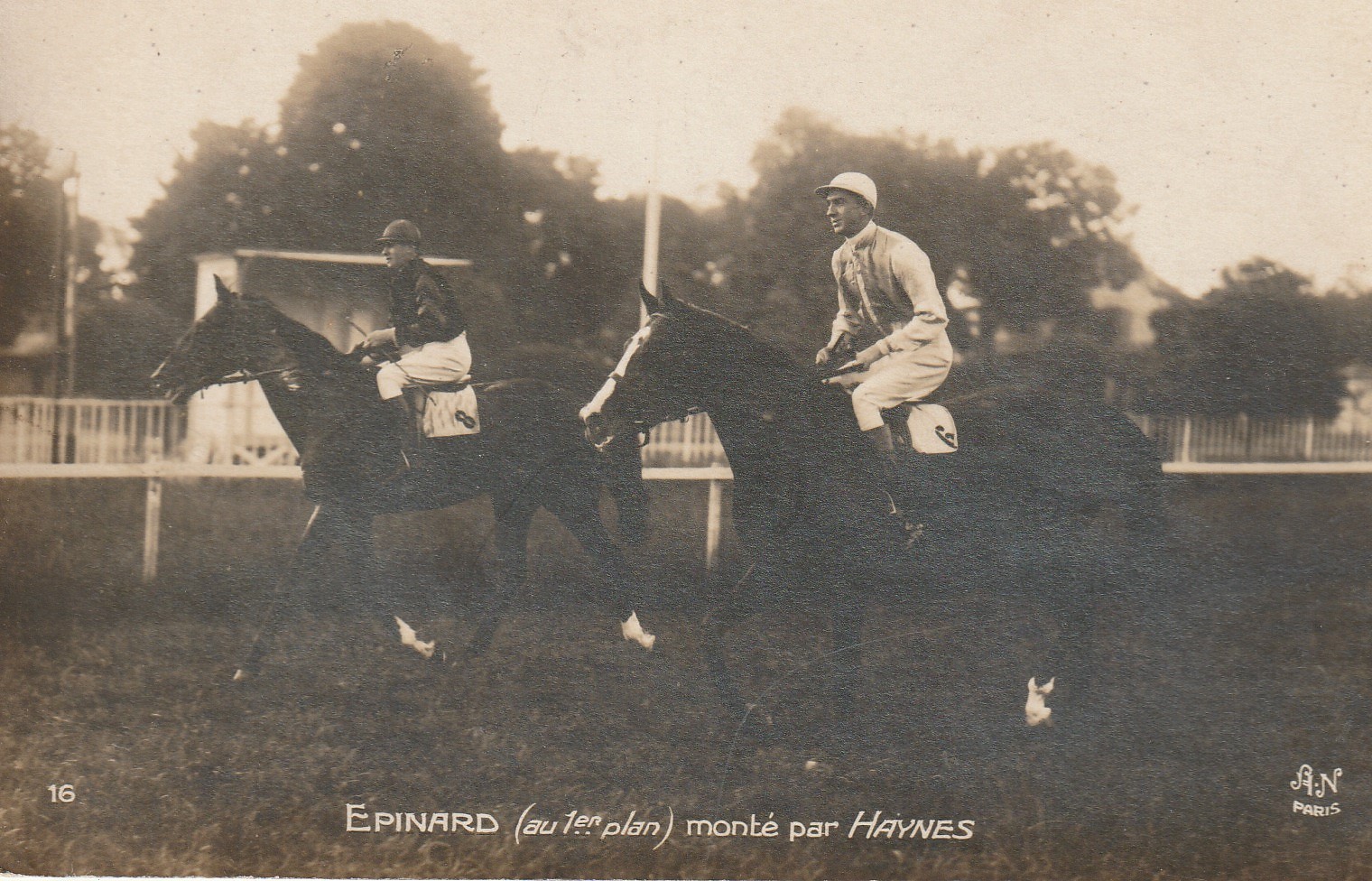 Photo cpa Sports HIPPISME Courses Hippodrome Paris. Cheval EPINARD monté par HAYNES