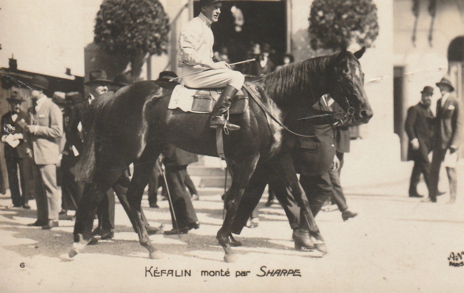 Photo cpa Sports HIPPISME Courses Hippodrome Paris. Cheval KEFALIN monté par SHARPE