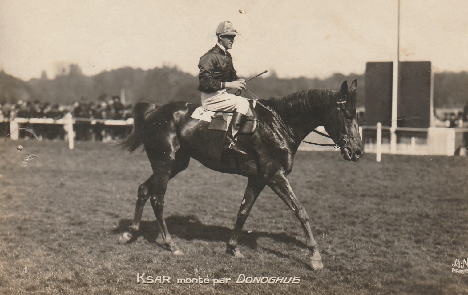 Photo cpa Sports HIPPISME Courses Hippodrome Paris. Cheval KSAR monté par DONOGHUE