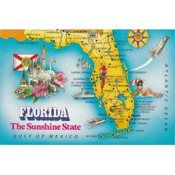 Photo Cpsm grand format FLORIDA The Sunshine State