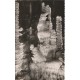 3 x Photo cpsm petit format 48 Meyrueis AVEN-ARMAND. Forêt vierge, Stalagmites gouffre et Palmier