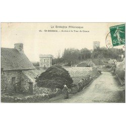 carte postale ancienne 22 SAINT-BRIEUC. Paysanne arrivée à la Tour de Cesson 1908