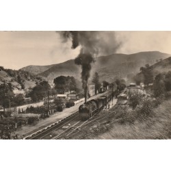 Photo cpsm petit format 48 VILLEFORT. Train avec locomotive à vapeur en Gare