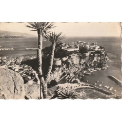 2 photo cpsm petit format MONANO. Rocher Cap Martin & Jardin exotique 1958-54