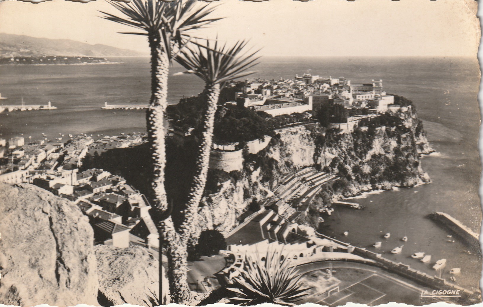 2 photo cpsm petit format MONANO. Rocher Cap Martin & Jardin exotique 1958-54