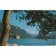 2 x Photo cpsm petit format SUISSE Le Château de Chillon et les Dents du Midi