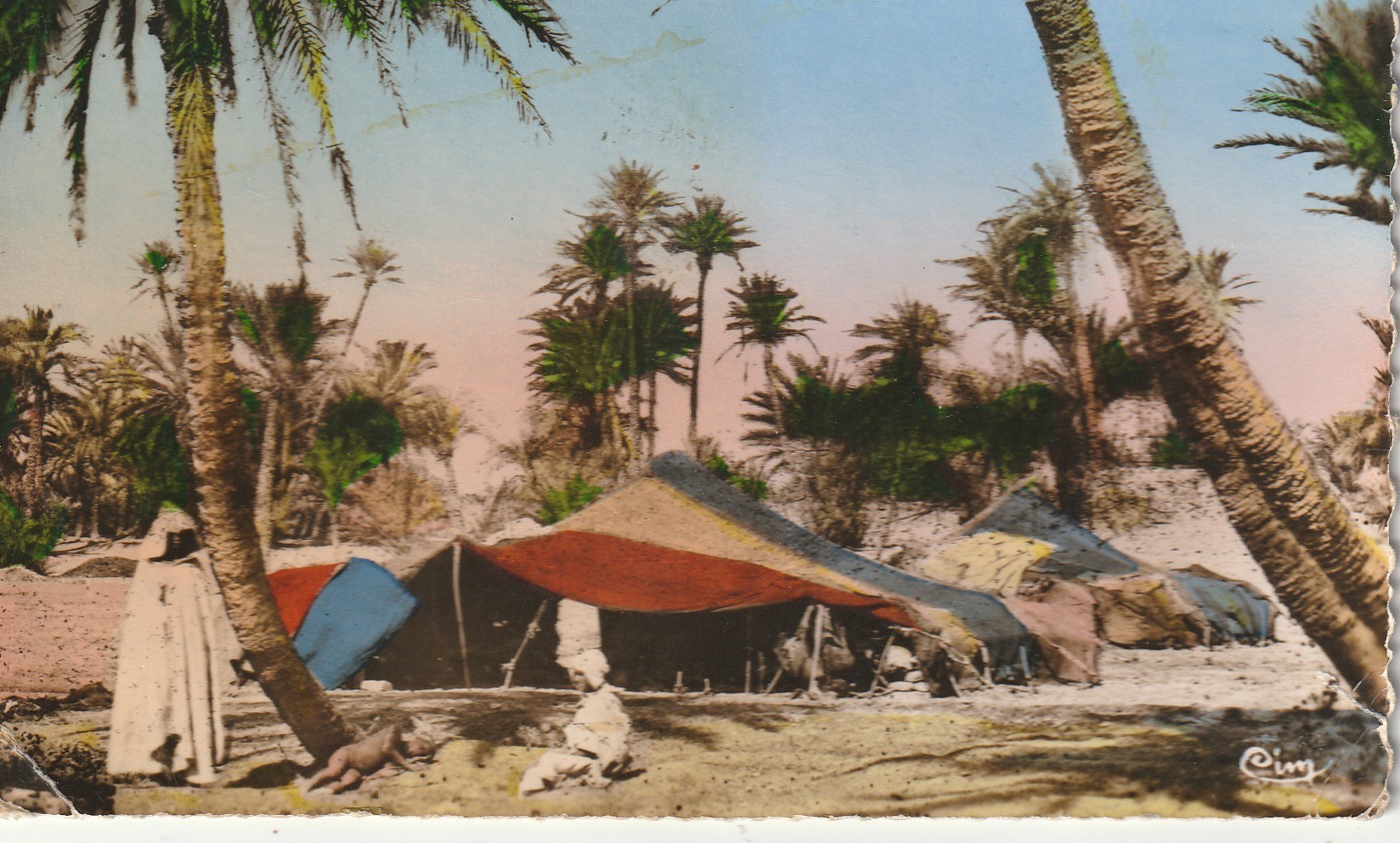 Photo cpsm petit format MAROC Campement