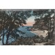 Photo cpsm petit format 85 NOIRMOUTIER. Bois de la Chaize et la Côte 1955