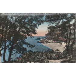 Photo cpsm petit format 85 NOIRMOUTIER. Bois de la Chaize et la Côte 1955