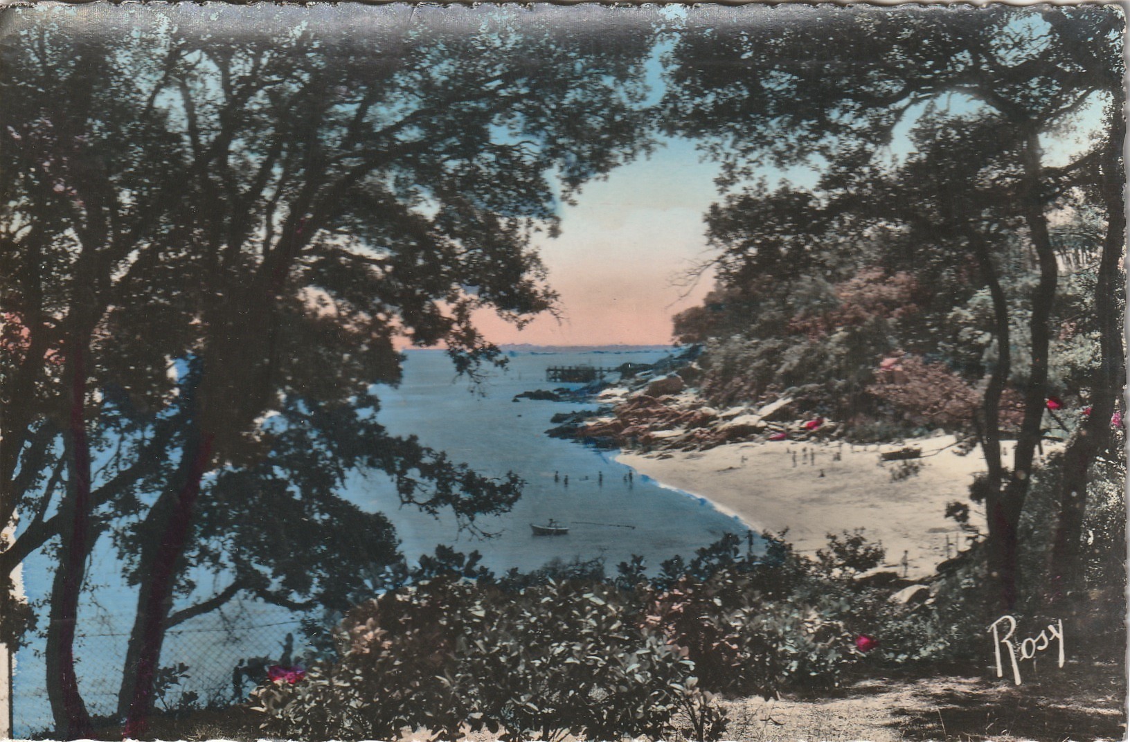Photo cpsm petit format 85 NOIRMOUTIER. Bois de la Chaize et la Côte 1955