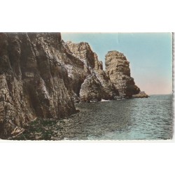 Photo cpsm petit format 22 CAP FREHEL. La Pointe 1956