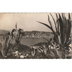 Photo cpsm petit format 06 CANNES. Vue d'ensemble 1950