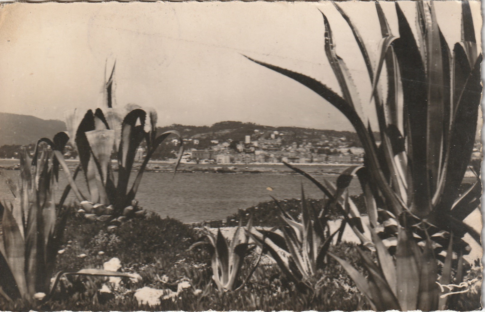Photo cpsm petit format 06 CANNES. Vue d'ensemble 1950