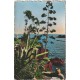 Photo cpsm petit format 83 LA COTE D'AZUR. Un coin du Paradis Terrestre 1954