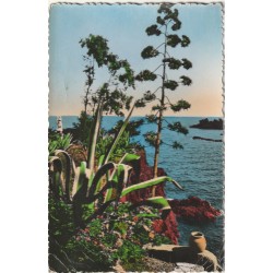 Photo cpsm petit format 83 LA COTE D'AZUR. Un coin du Paradis Terrestre 1954