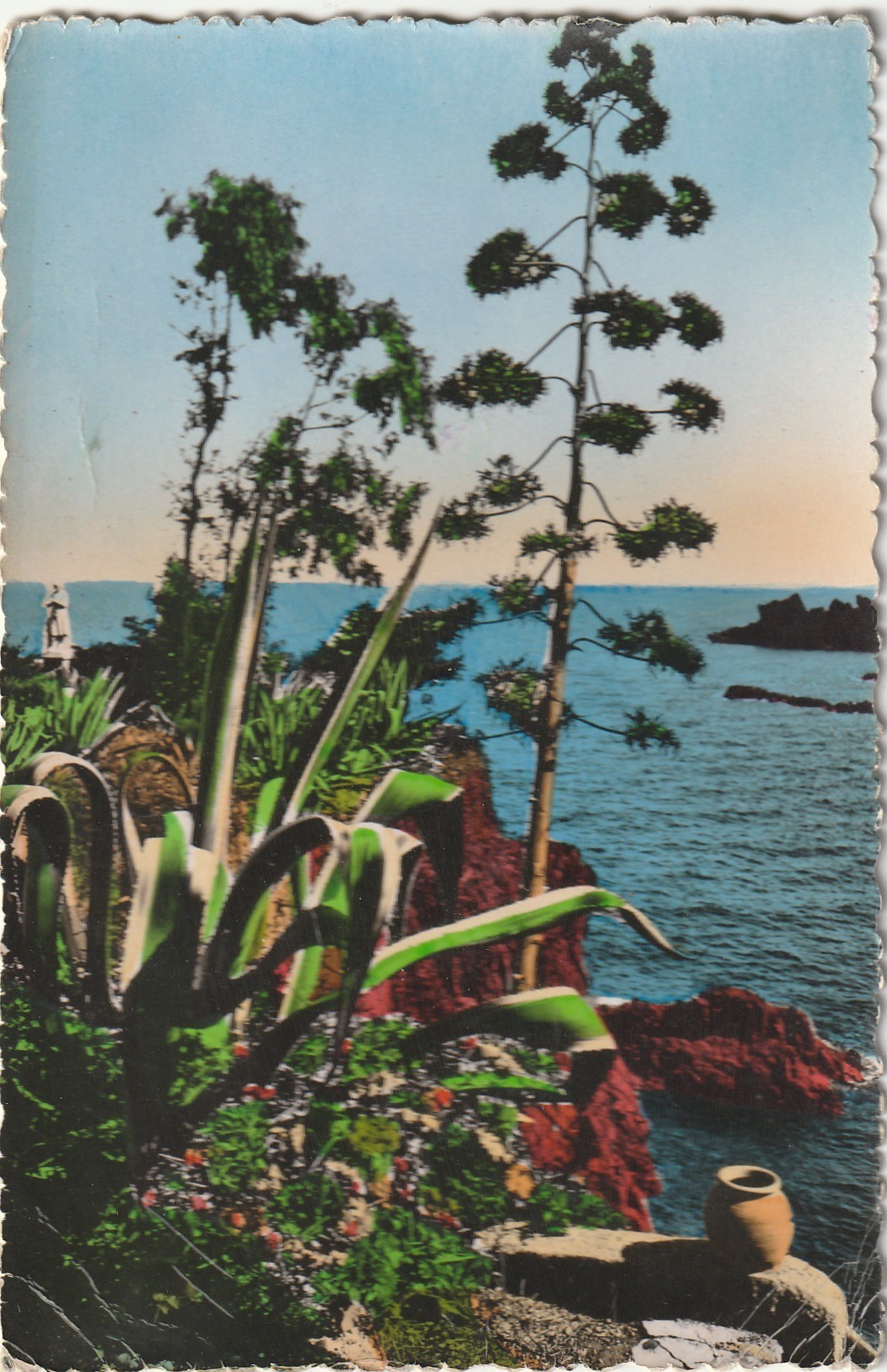 Photo cpsm petit format 83 LA COTE D'AZUR. Un coin du Paradis Terrestre 1954