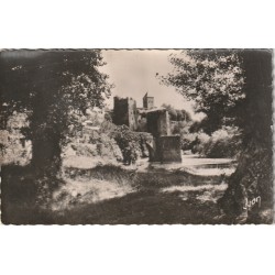Photo cpsm petit format 64 SAUVETERRE-DE-BEARN. Pont de la Légende sur Gave Oloron 1955