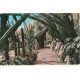 Photo cpsm petit format MONACO MONTE-CARLO. Jardin Exotique