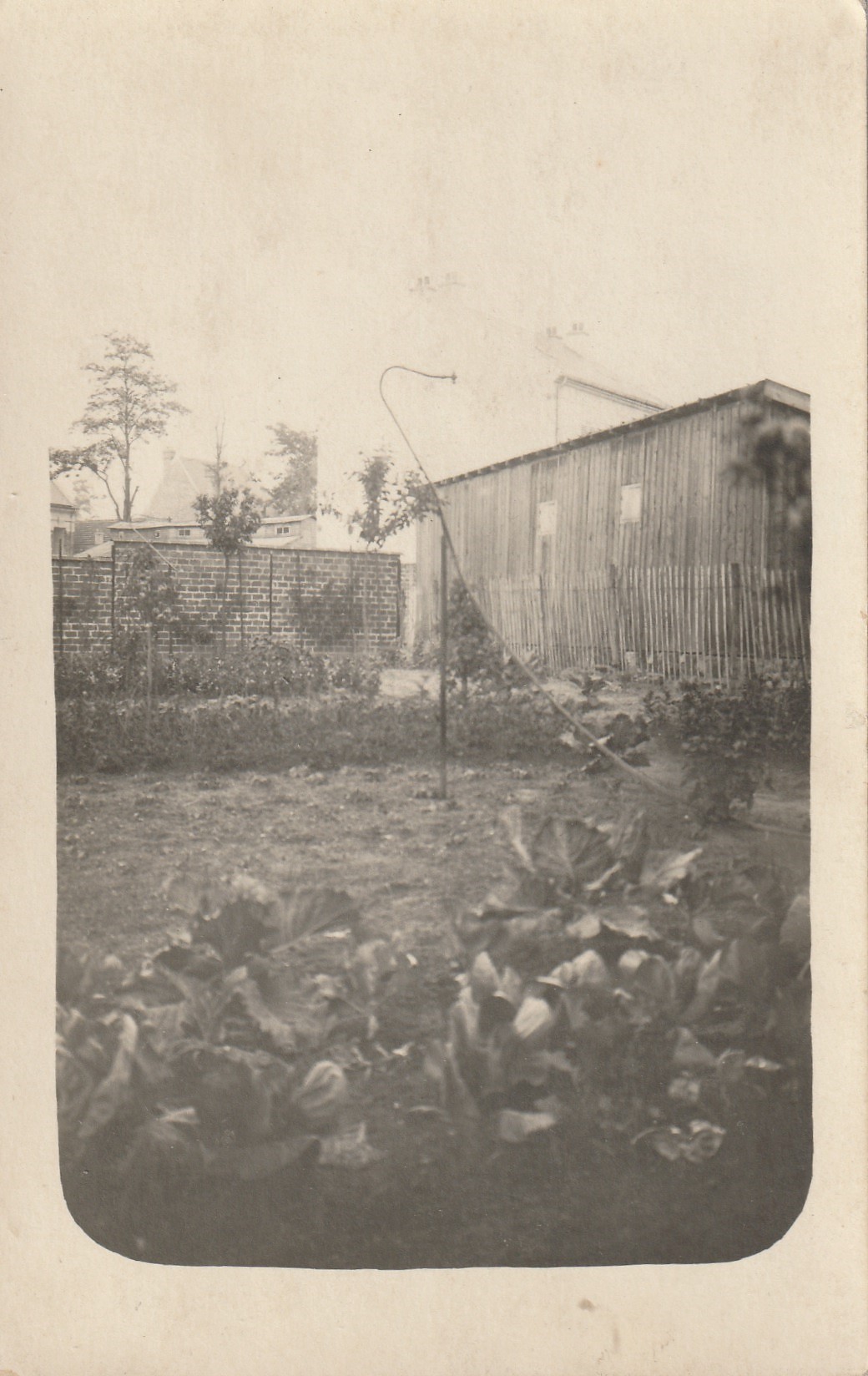 02 SOISSONS. Photo carte postale d'un Jardin au 39 Route de Chevreuse