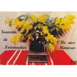4 Photo Cpsm grand format 85 ILE DE NOIRMOUTIER. Poupées, Herbaudière, Rochers Plage Dames & Bois Chaize 1960