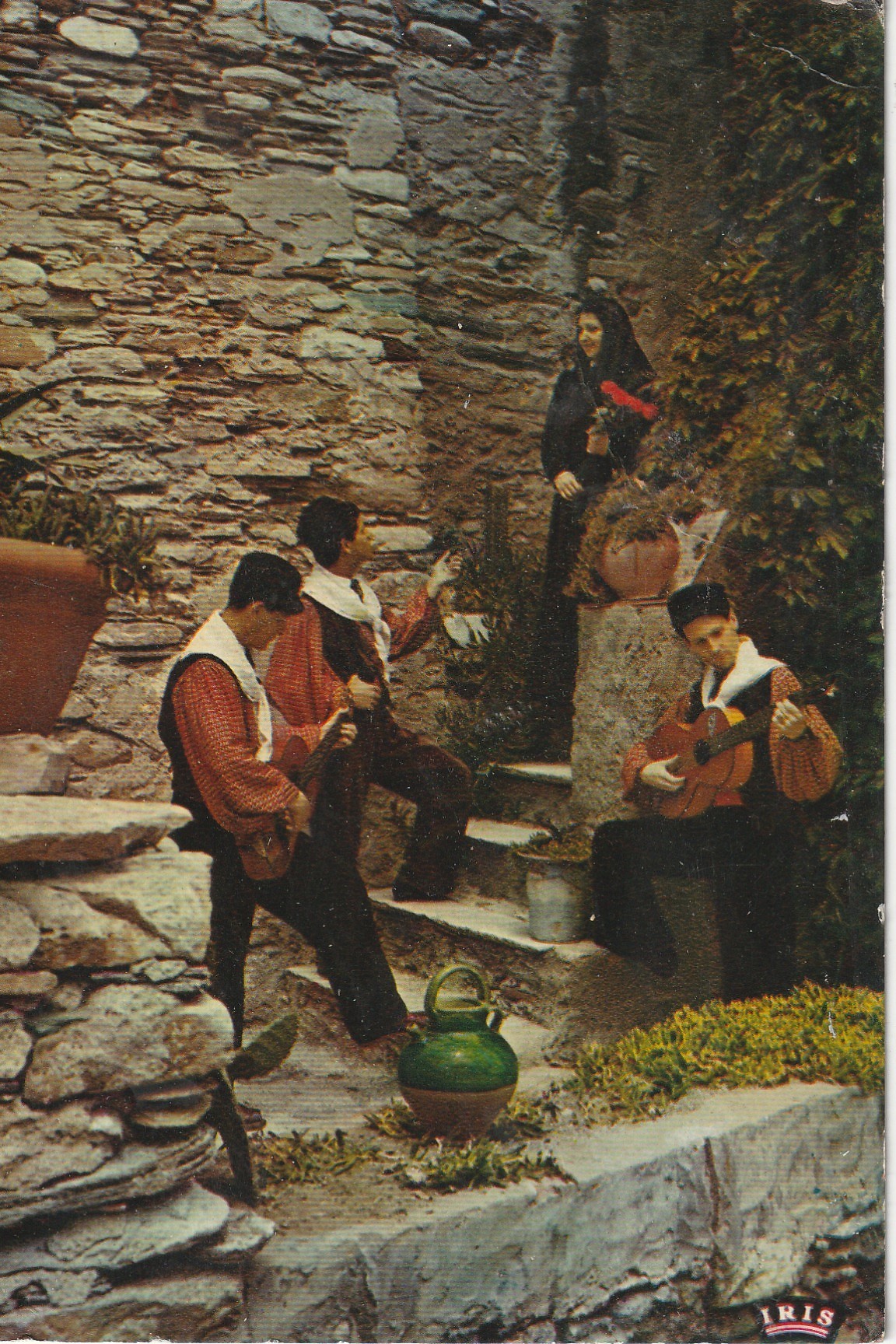 3 Photo Cpsm grand format 20 CORSE. I Macchiaghioli, Iles Lavezzi & Caramontino