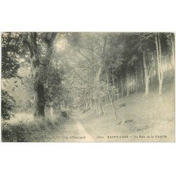 carte postale ancienne 22 SAINT-CAST. Le Bois de la Vieuville 1909