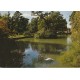 2 photo cpsm grand format 64 PAU. Palmeraie et Parc Beaumont