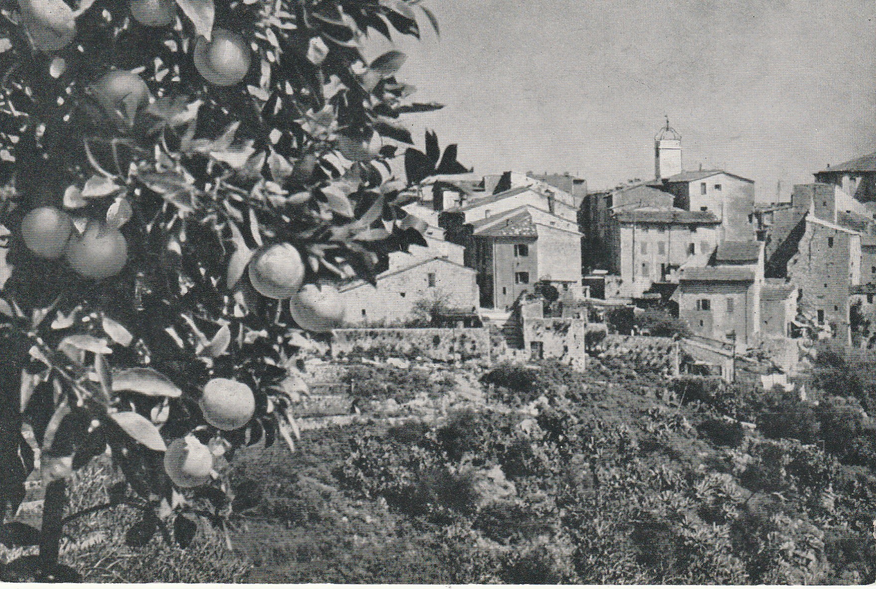 Photo Cpsm grand format 06 TOURRETTES-SUR-LOUP. Pour Millau. Timbre de 008 centimes...
