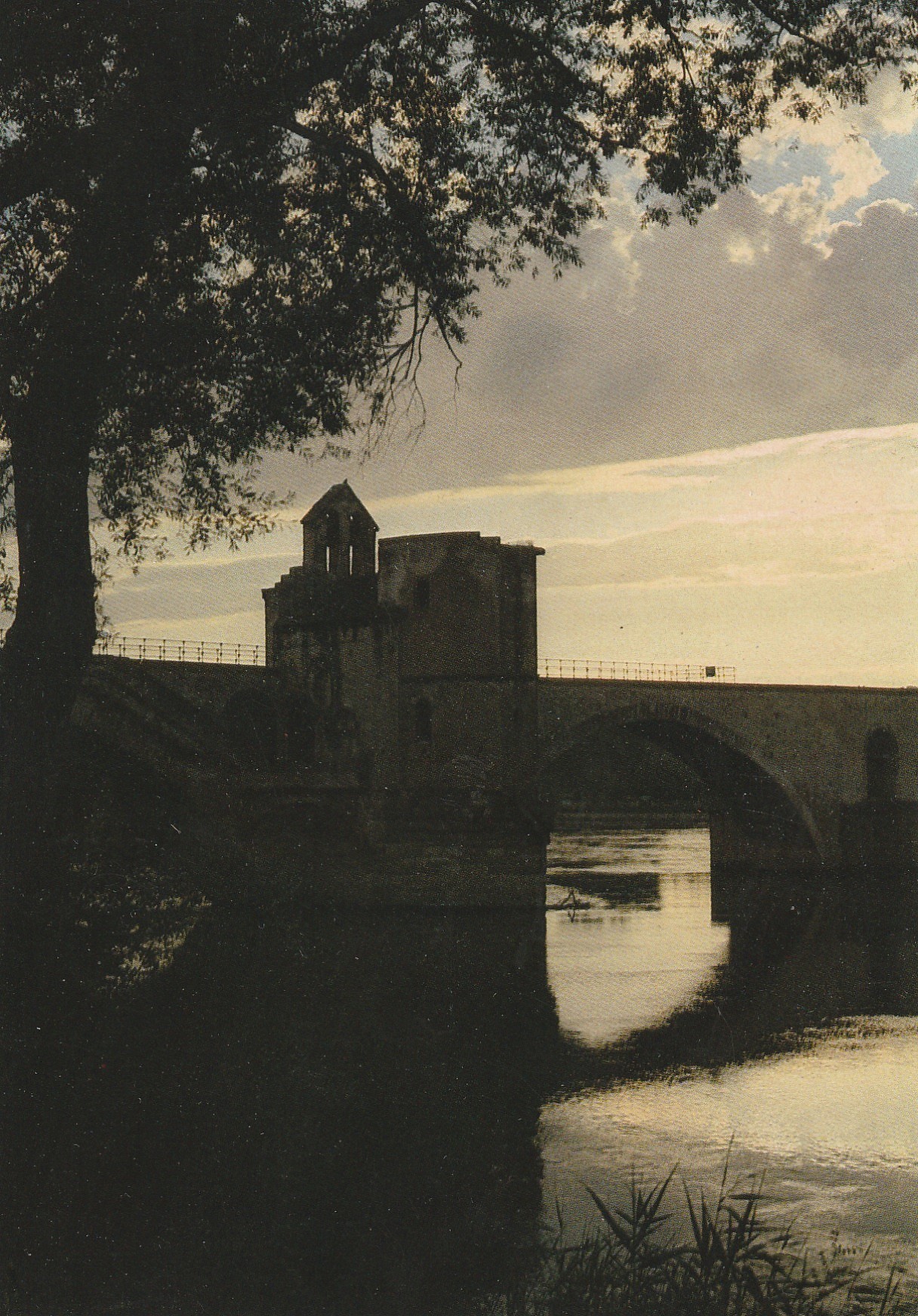 4 Cpsm grand format 84 AVIGNON. Pont Saint-Bénézet et Palais des Papes