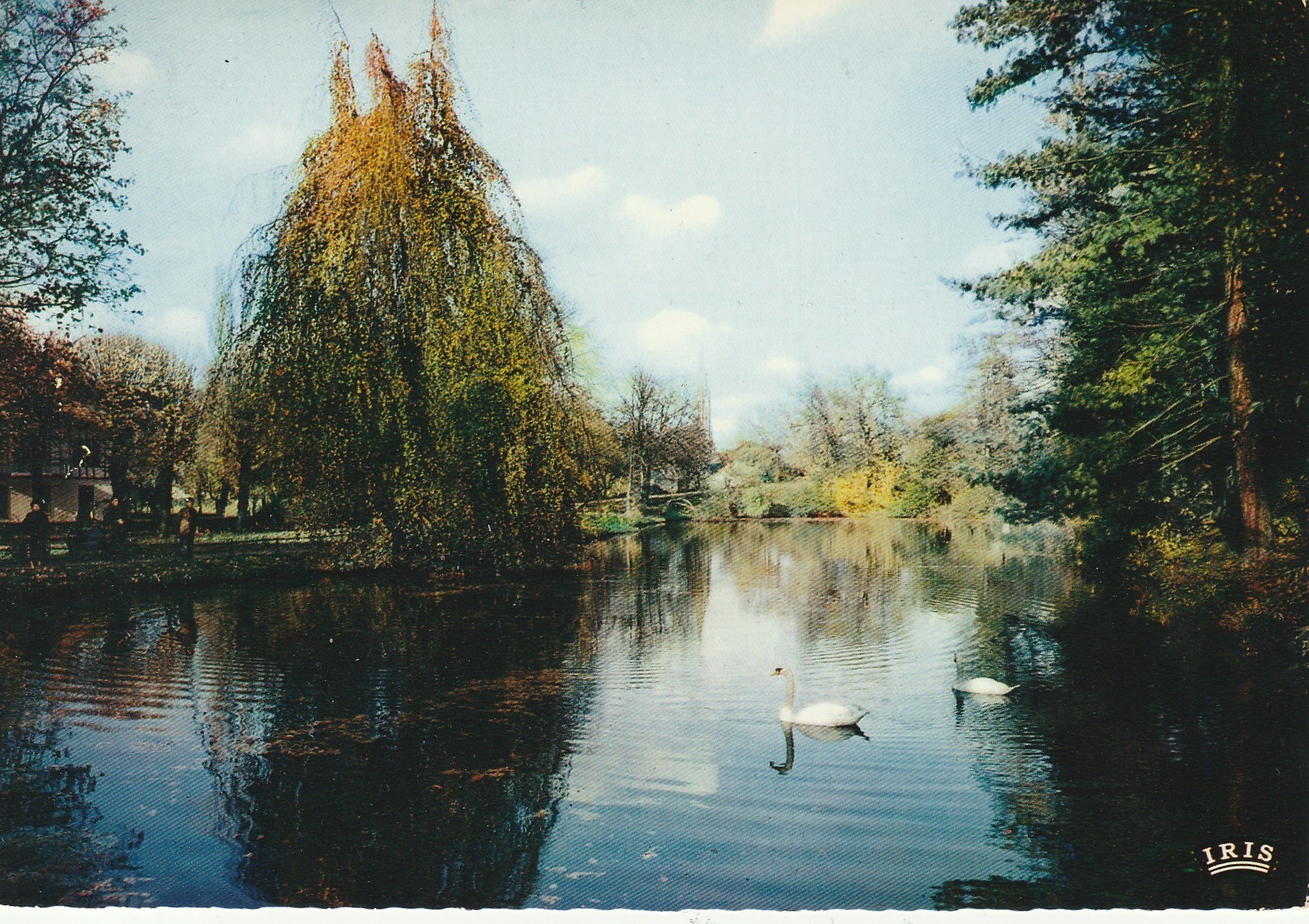 2 Photo Cpsm grand format 57 METZ. Cygnes et Cathédrale