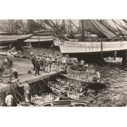 Photo cpsm grand format 29 CONCARNEAU. Débarquement du Poisson 1957