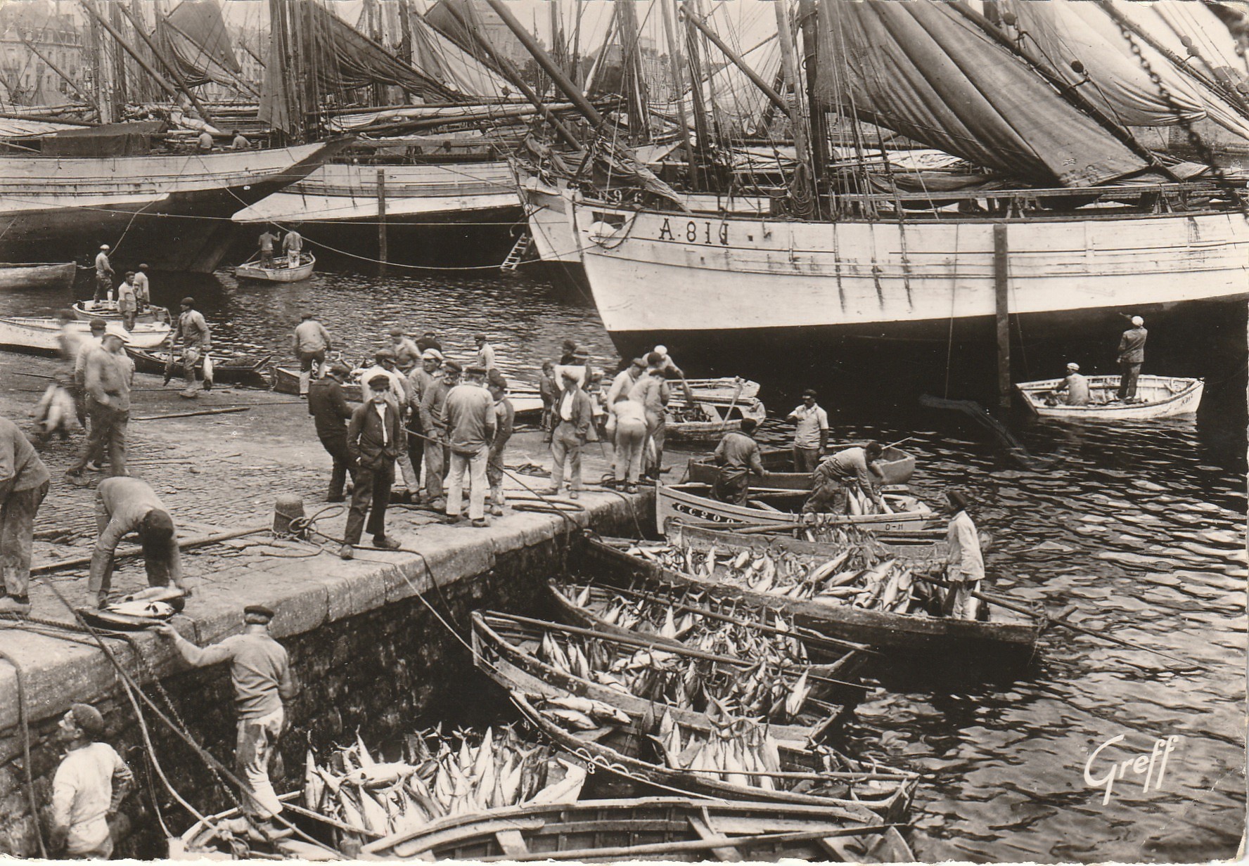 Photo cpsm grand format 29 CONCARNEAU. Débarquement du Poisson 1957