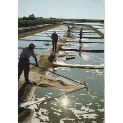 Photo cpsm grand format 17 ILE DE RE. Contre-jour sur les Marais salants 1990