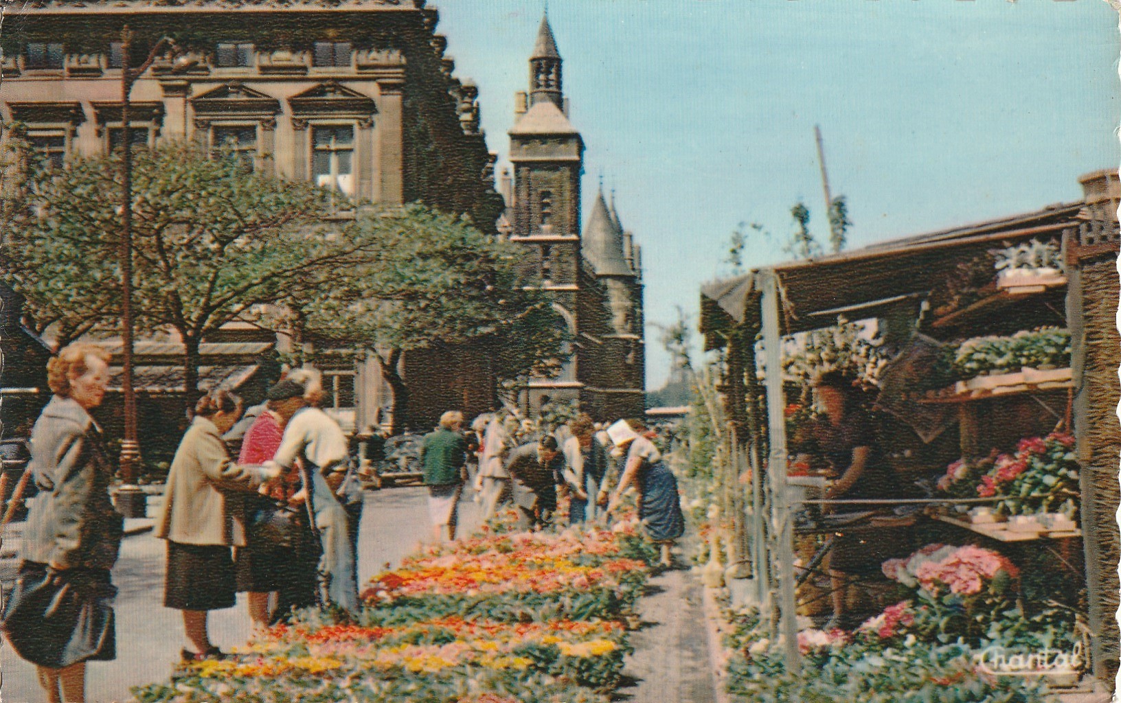 5 Photo cpsm petit format 75 PARIS. Le Marché aux Fleurs...