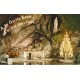 5 Photo cpsm petit format 65 LOURDES