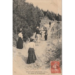 38 ALLEVARD-LES-BAINS. La Montée de Brame Farine par des excursionnistes avec Mule 1908