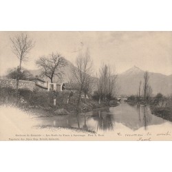 38 SASSENAGE. Les Bords du Furon 1903