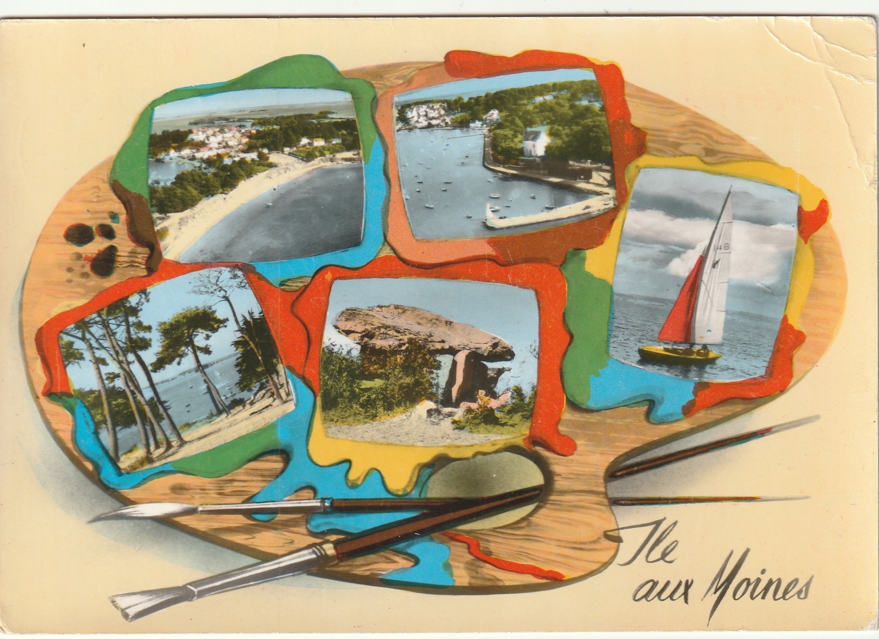 Photo cpsm grand format 56 ILE AUX MOINES Différentes vues sur palette 1964