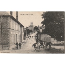 51 POGNY. Troupeau de Vaches Rue du Pont 1917