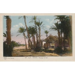3 x cpa MAROC. Paysage, Marchand d'eau et Marrakech 1924