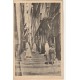4 x cpa sur L'ALGERIE. Une rue, le Marché, Bone et Tlemcen