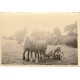 35 TREMBLAY 11 photographies anciennes petits formats de Val Couesnon