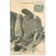 carte postale ancienne 22 TREBEURDEN. L'Aigle 1907